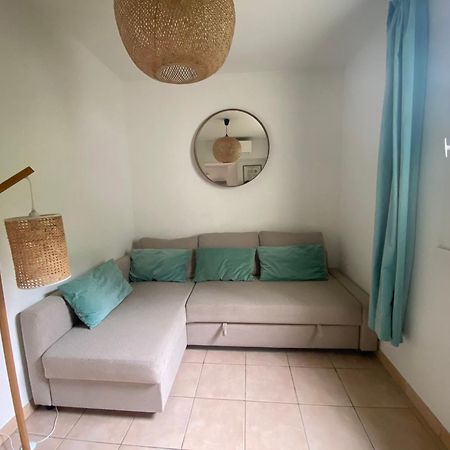 Appartement Les Cigales Rez De Jardin A 10Mn Des Plus Belles Plages Hyères Екстериор снимка