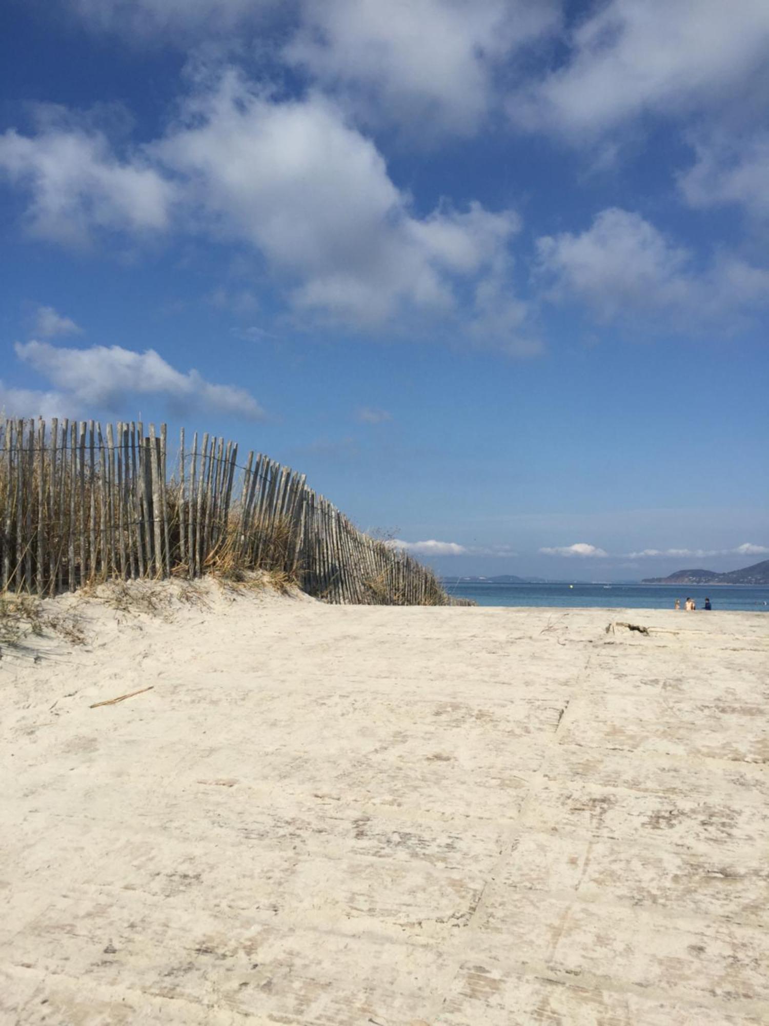 Appartement Les Cigales Rez De Jardin A 10Mn Des Plus Belles Plages Hyères Екстериор снимка