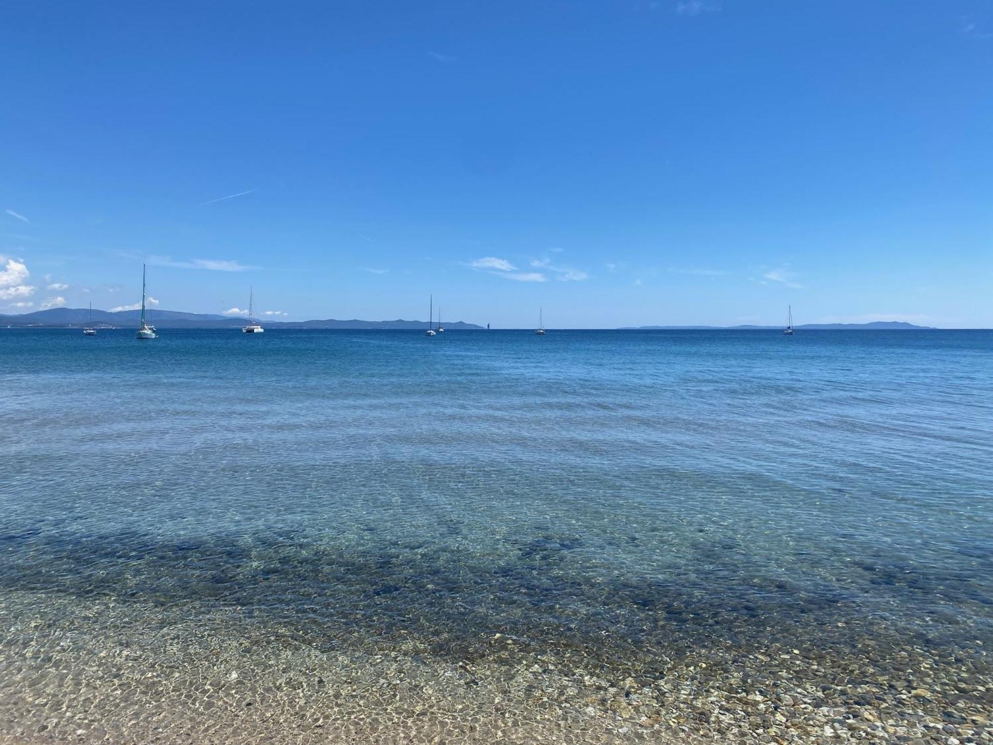 Appartement Les Cigales Rez De Jardin A 10Mn Des Plus Belles Plages Hyères Екстериор снимка